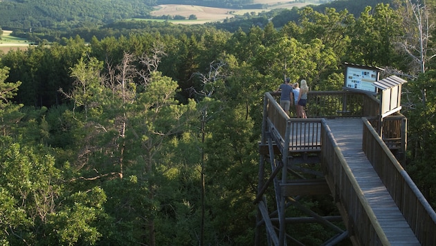 Vor rund 15 Jahren eröffnet, entwickelte sich der rund 500 Meter lange Weg rasch zu einem ...