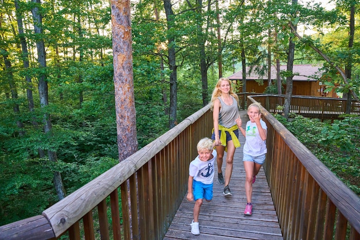 Ob jung oder alt, der Baumwipfelweg war ein beliebtes Ausflugsziel.