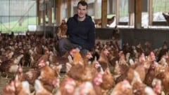 Legehennenhalter Hans-Peter Schlegl und seine fleißigen Damen haben derzeit alle Hände voll zu ...