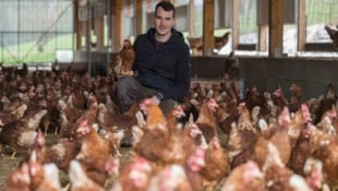 Legehennenhalter Hans-Peter Schlegl und seine fleißigen Damen haben derzeit alle Hände voll zu ...
