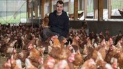 Legehennenhalter Hans-Peter Schlegl und seine fleißigen Damen haben derzeit alle Hände voll zu ...