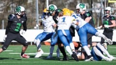 Die Giants aus Graz (in Weiß) nehmen einen neuen Anlauf auf den ersten Titel seit 2008.