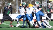 Die Giants aus Graz (in Weiß) nehmen einen neuen Anlauf auf den ersten Titel seit 2008.