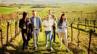 Wanderung inmitten frühlingshafter Weinrieden
