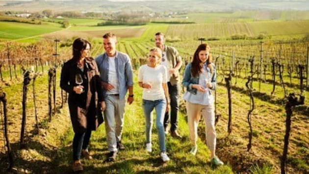 Wanderung inmitten frühlingshafter Weinrieden