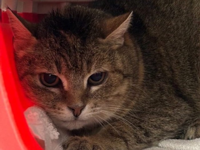 Gibt es ein happy end für Cora?