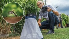 „Mr. Tigermücke“ Erwin Wieser ist seit fünf Jahren im Dauereinsatz.