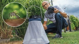 „Mr. Tigermücke“ Erwin Wieser ist seit fünf Jahren im Dauereinsatz.