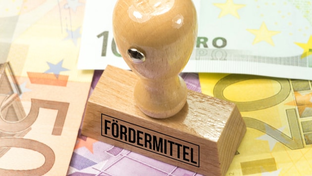 Causa NGO-Förderungen: Neuer FPÖ-Ärger über fernbleibende Minister im Parlament . (Symbolbild)