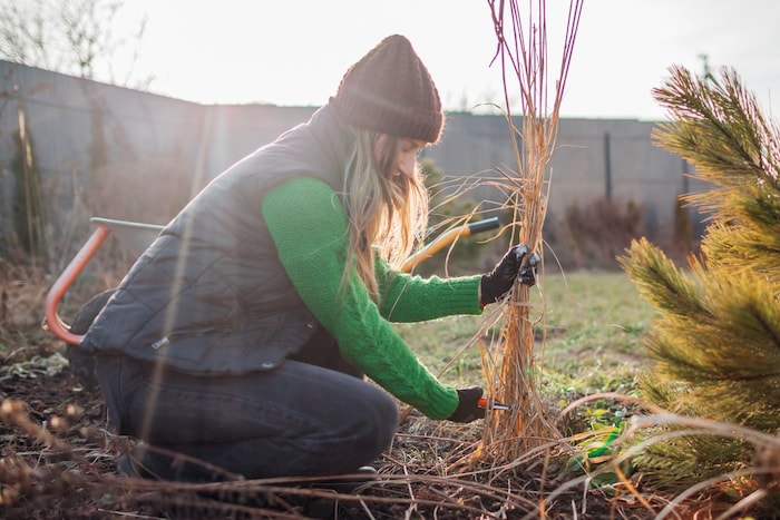 Rückstände vom Schnitt können noch ein wenig gelagert werden.