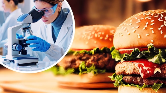 Lebensmittelhersteller testen ihre Produkte und passen sie im Labor an.
