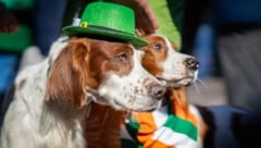 Besonders im angloamerikanischen Raum nimmt die Farbe Grün heute einen besonderen Stellenwert ...