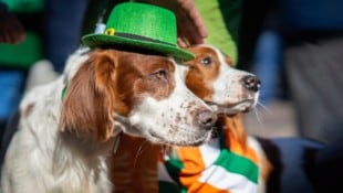 Besonders im angloamerikanischen Raum nimmt die Farbe Grün heute einen besonderen Stellenwert ...