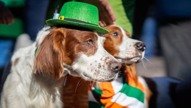 Besonders im angloamerikanischen Raum nimmt die Farbe Grün heute einen besonderen Stellenwert ...