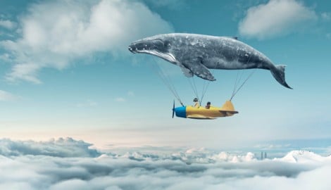 Träume, in denen man weiß, dass man träumt, nennen Forscher „luzid“. 