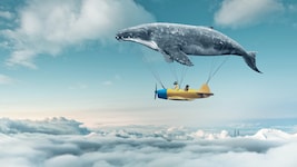 Träume, in denen man weiß, dass man träumt, nennen Forscher „luzid“. 