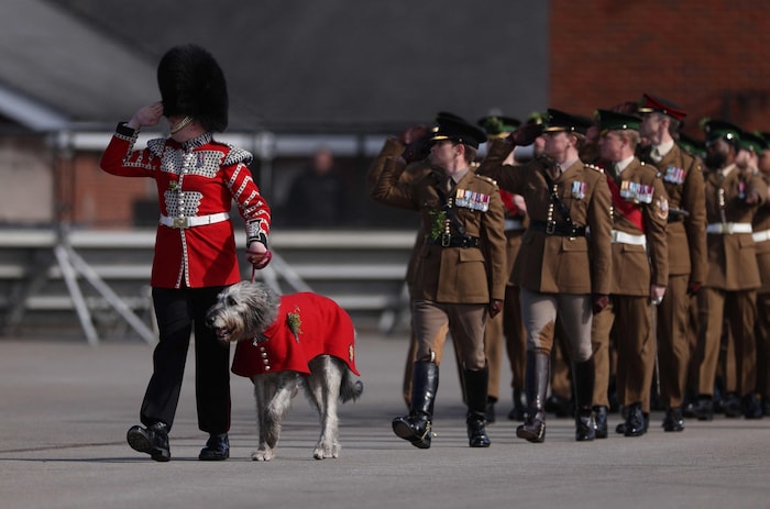 Wolfshund „Seamus“ führte die Parade an.