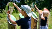 Am 1. April startet die Niederösterreich-CARD in ihre 21. Saison. 