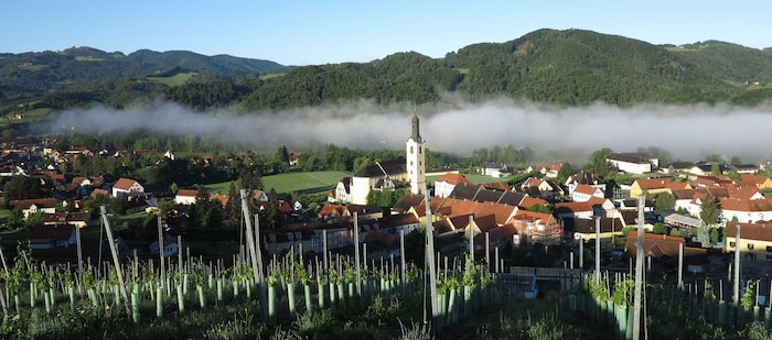 Die südsteirische Gemeinde Leutschach steht am Palmsonntag im Zeichen der Gesundheit.