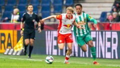 Nach dem Sieg in Salzburg hat Rapid (re. Dahl) zwei Heimspiele vor sich