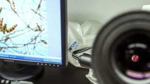 In Großbritannien sind zwei Menschen an Meningokokken gestorben, mindestens elf weitere werden ...