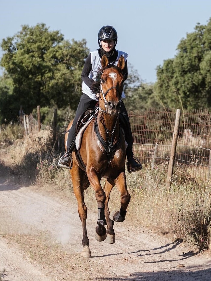 Jana Kupper liegt in der Wertung „Weltrangliste Reiter mit Pferd“ auf Platz zwei.