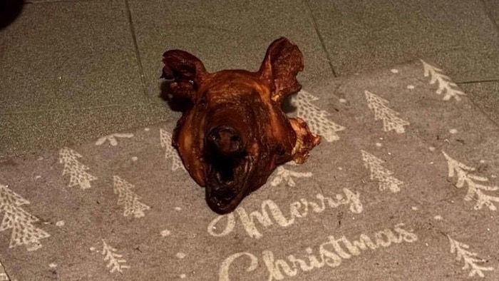 The animal’s head had been severed.