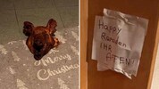Begleitet von einer hasserfüllten Botschaft lag der Kopf eines Schweins vor der Tür einer ...
