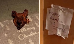 Der Kopf eines Schweins lag vor der Wohnung, an der Tür klebte ein Zettel mit der Aufschrift ...