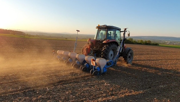Die Bauern bekommen genauso die Dieselpreise zu spüren.