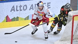 Lewington (li.) und die Bulls fanden kein Mittel.