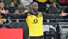 Nicht nur die Saudis, auch europäische Topklubs würden Serhou Guirassy mit offenen Armen ...