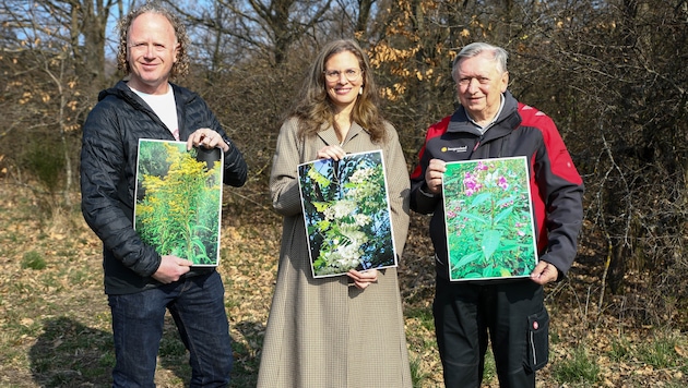 Vize-Landeschefin Anja Haider-Wallner, VBNO-Landesleiter Hermann Frühstück (rechts) und ...