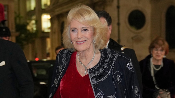 Bei diesem Auftritt 2025 wirkten Camillas Brauen gepflegt, aber dennoch weniger stark ...