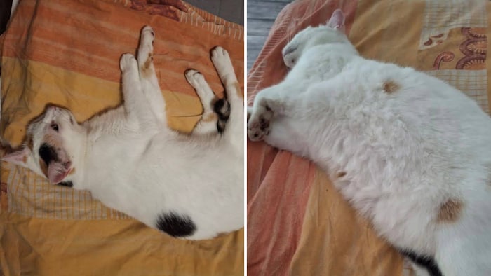 „Minky“, wo steckst du?