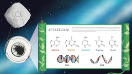 In Bodenproben des Asteroiden Ryugu konnten Forscher sämtliche Bausteine des Lebens nachweisen.
