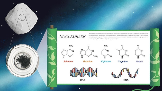 In Bodenproben des Asteroiden Ryugu konnten Forscher sämtliche Bausteine des Lebens nachweisen.