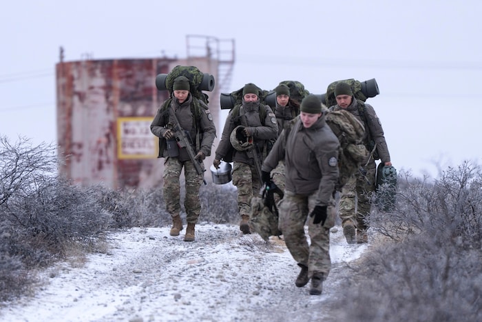 Dänische Soldaten auf Grönland: Im Jänner plante Dänemark konkrete Maßnahmen, um auf eine ...