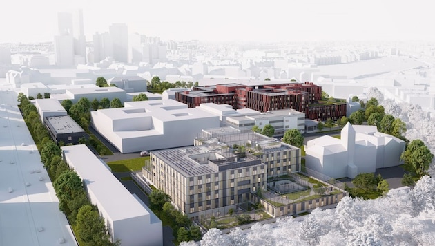 So soll das Zentrum aussehen: Noch befindet sich am Standort eine große Baugrube. Bis 2029 wird ...