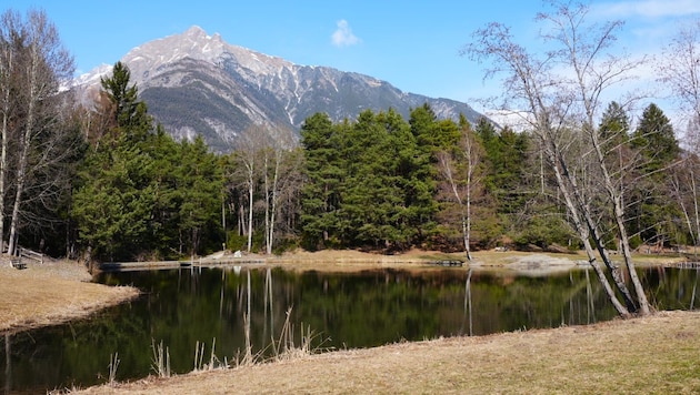 Der Tramser Weiher bietet einen idyllischen Anblick.