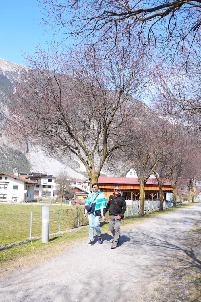 Die Blutpflaumen entlang der Allee erwachen gerade.