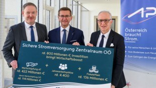 Forscher Helmenstein, Landesrat Achleitner und Christiner (APG, v. li.) präsentierten gemeinsam ...