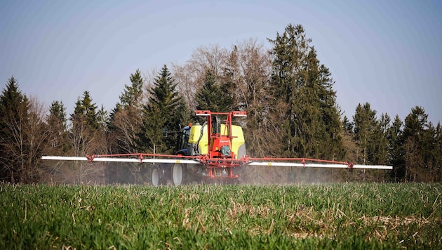 Der Einsatz von Pestiziden steht immer wieder in der Kritik.