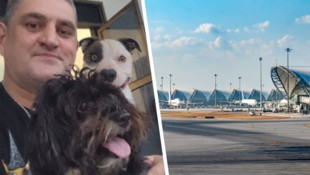 Nach mehreren Schicksalsschlägen schenkte der Pitbull dem Tiroler wieder Lebensfreude. Nun ...