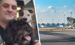 Nach mehreren Schicksalsschlägen schenkte der Pitbull dem Tiroler wieder Lebensfreude. Nun ...