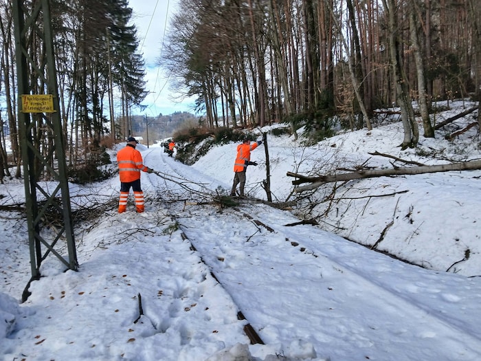 Schneebruch beschädigte viele Oberleitungsmasten.