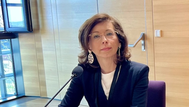 Isabella Stickler war die bislang letzte Zeugin im U-Ausschuss zur Causa „Neue Eisenstädter“. ...