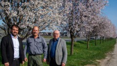 Bürgermeister Kilian Brandstätter, Umweltgemeinderat Hans Lehner, Bgm. a.D. Hans Schrammel. 