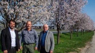 Bürgermeister Kilian Brandstätter, Umweltgemeinderat Hans Lehner, Bgm. a.D. Hans Schrammel. 