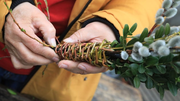 Kunstvoll gebundener Griff für einen Palmbuschen: Das Können muss ebenso vorhanden sein wie die ...